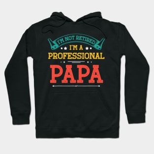 I'm Not Retired A Professional Papa Tee Fathers Day Gift Hoodie